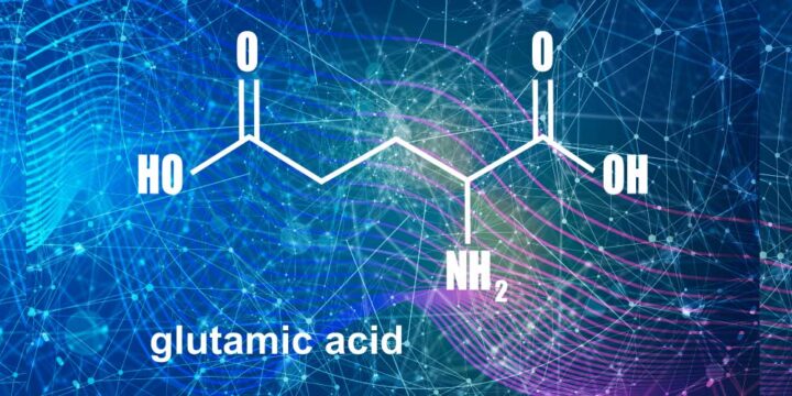 グルタミン