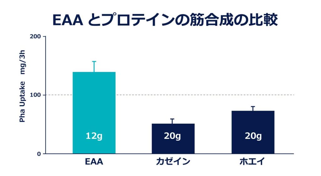 EAAとプロテインの効果比較