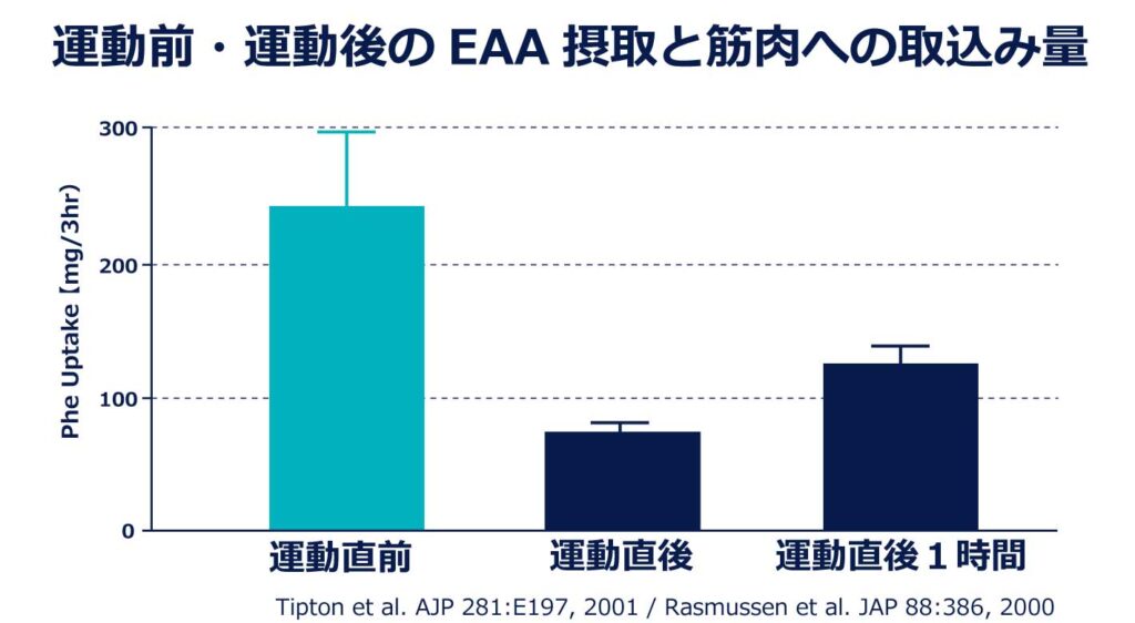 EAAの運動前と運動後の摂取の違い